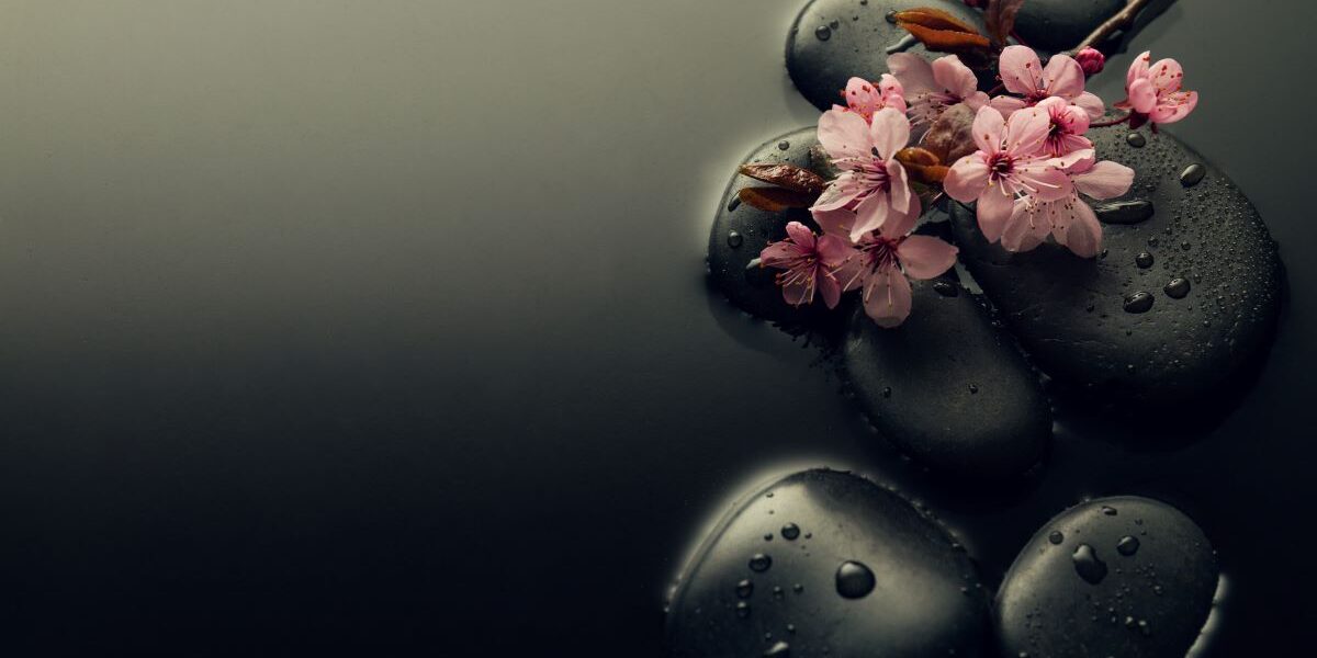 beautiful-pink-spa-flowers-spa-hot-stones-water-wet-background-side-composition-copy-space-spa-concept-dark-background